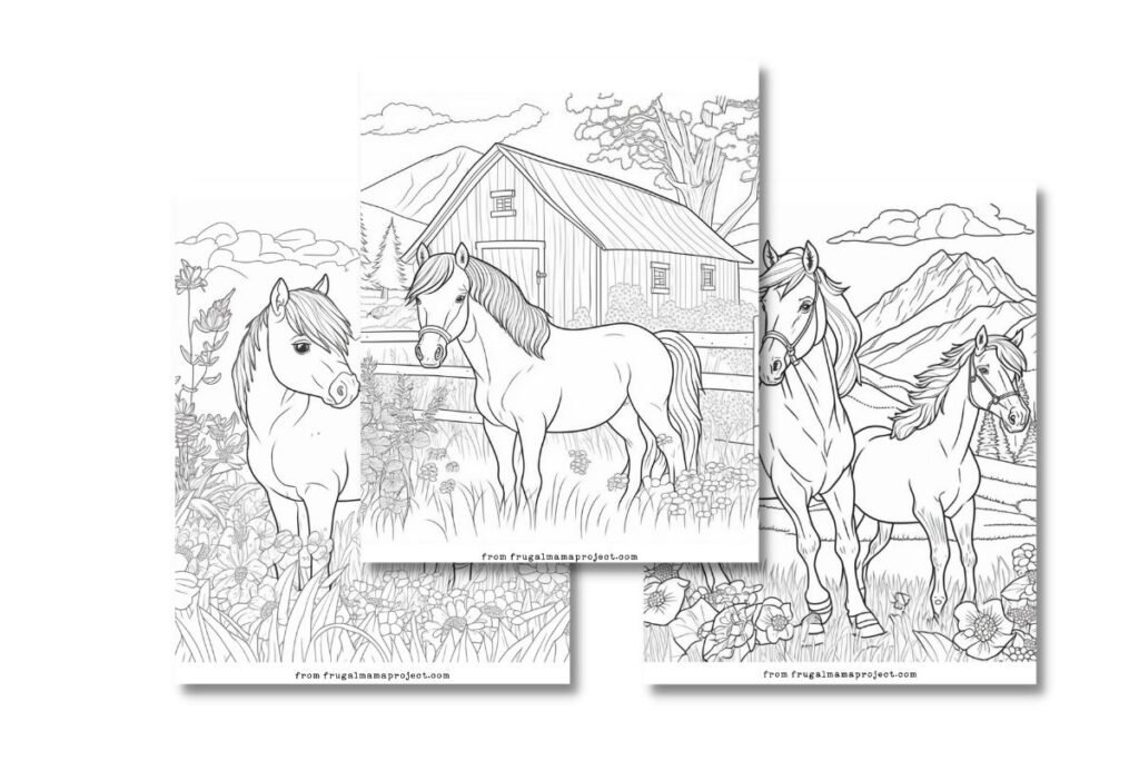 3 pony coloring pages with intricate designs.