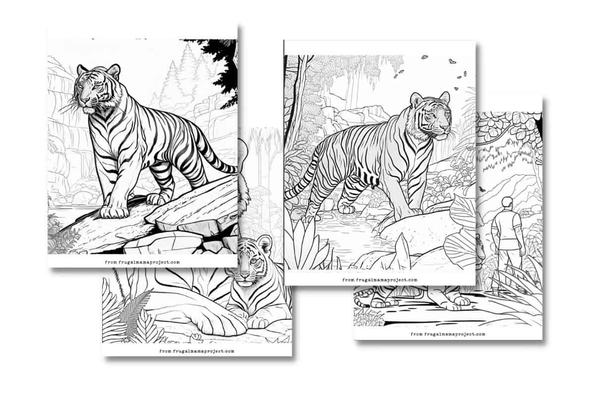 4 intricate coloring pages with tigers.