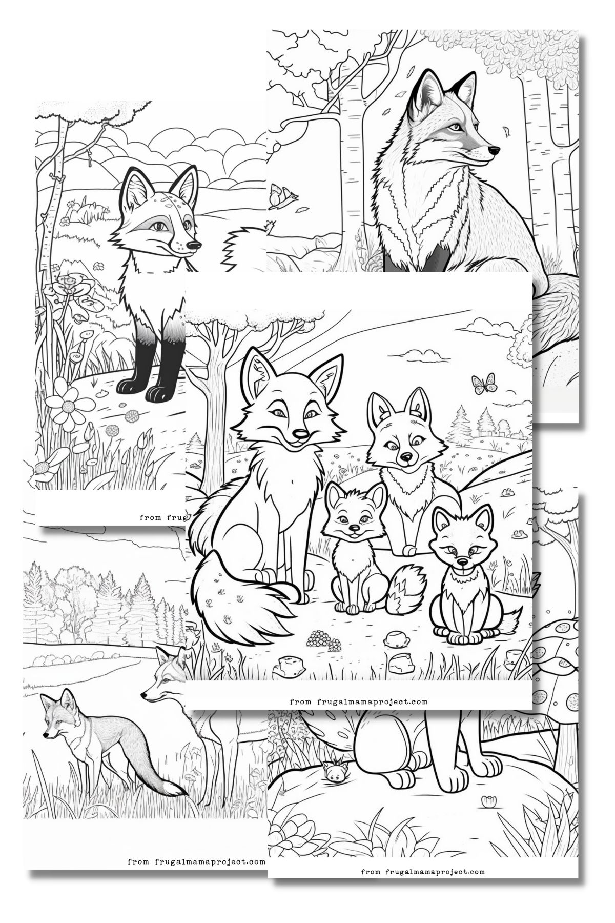 fox coloring pages on white background