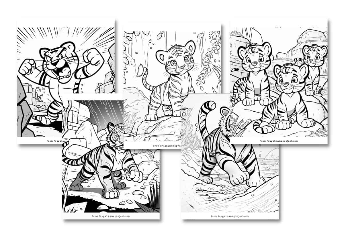 mockup of 5 tiger coloring pages for kids